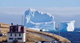 Een gigantische ijsberg Groet de Canadese kust, de tocht die het maakt is uniek