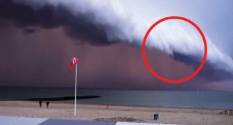 Une tempête arrive sur les côtes de la Belgique: le phénomène est inquiétant!
