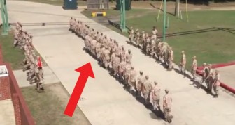 Deze mariniers zijn bezig met een coördinatie-oefening: zullen ze slagen voor deze test?