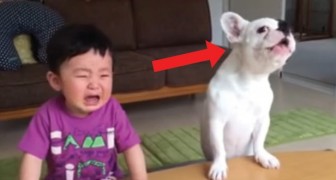 Eerst steelt hij zijn snack en vervolgens huilt hij mee met het kind: deze hond is zeker niet dom te noemen!