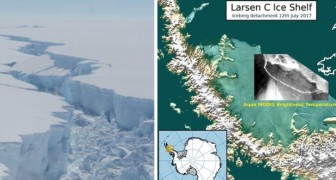 Eine der größten Eisschollen der Antarktis hat sich gelöst: Experten haben kaum einen Zweifel über die Ursache