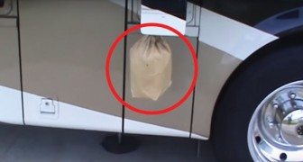 Il attache un sac en papier au rétroviseur du campeur: voici une astuce pour éloigner les guêpes 