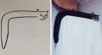 Quando la tua insegnante dice che non sai disegnare i gatti mentre tu fai disegni iperrealistici