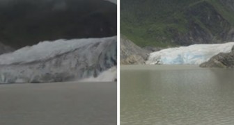 Hur Mendenhallglaciären har förändrats under 8 år: ett tidsförlopp som skakar