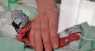 Uma enfermeira cuidou do bebê prematuro deste casal: 4 anos depois a família vai até o hospital para agradecer a ela
