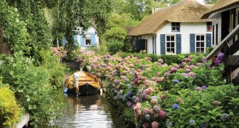Ce village néerlandais sans aucune route semble être sorti d'un livre de contes de fées.