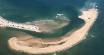 La nouvelle et dangereuse île apparue dans le Triangle des Bermudes