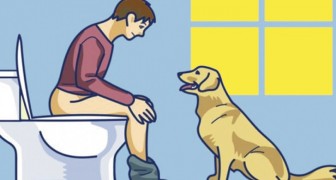 If your dog follows you into the bathroom, do not ignore them! Here is what they are trying to tell you!