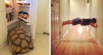 18 people who woke up to find themselves in hilarious situations!