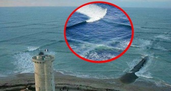 Estas ondas quadradas chamam a atenção dos turistas mas trata-se de um fenômeno perigoso!
