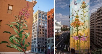 Piante e fiori che lottano contro il cemento: i murales di questa artista illuminano le città