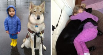Als deze foto's je niet zullen overtuigen dat elk kind een hond zou moeten hebben, zal niets anders het doen!