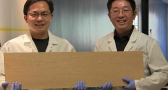 Des Chercheurs Developpent Le Super Bois Plus Dur Que L