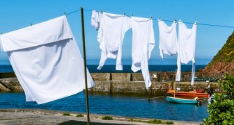 Mit diesen 5 Zutaten wird eure Wäsche weiß wie am ersten Tag