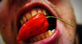 Wer Chili isst, lebt besser und länger: Das sagt eine Studie