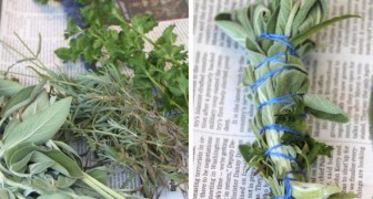 A natural repellent for mosquitoes! Here's how to create one with the herbs you have in your garden