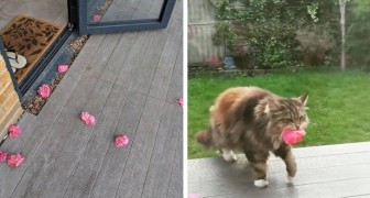 She finds flowers every day outside her front door! Here's the neighbor we all want to have