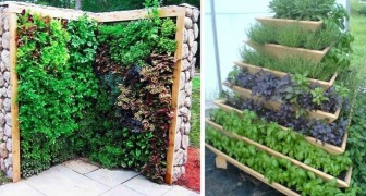 Vertical gardens! 17 wonderful ideas from which you can choose the one that's right for you!