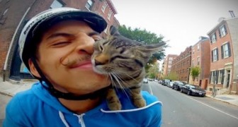 GoPro: Boy on a bike with the cat