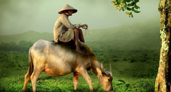 Den kinesiska berättelsen om bonden som vi alla bör läsa innan något jobbigt händer