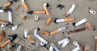 Vergeet plastic, want sigarettenpeuken staan op de eerste plaats van al het afval dat zich in zee bevindt