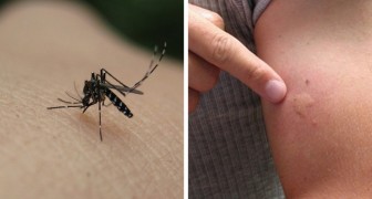 Deshalb werden Sie viel mehr von Mücken befallen als jeder andere