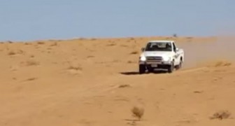 Incredible driving skills in the desert