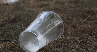 L'Italia anticipa l'Europa e vieta bottiglie e stoviglie di plastica usa e getta: in arrivo il disegno di legge