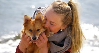 People tend to love dogs more than humans and a study confirms this