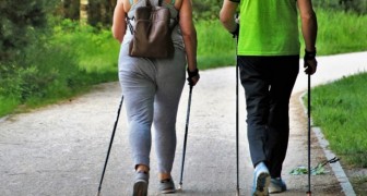 Tambien caminando se puede perder peso: aqui cuanto y cuan a menudo