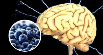 7 aliments qui sont un pur concentré d'énergie pour notre cerveau