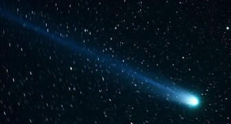 Noël 2018 en compagnie d'une comète : voici tout ce qu'il faut savoir pour la voir