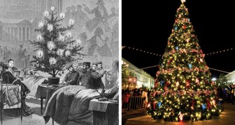 L'histoire du sapin de Noël : une tradition encore aimée, mais vieille de plusieurs siècles