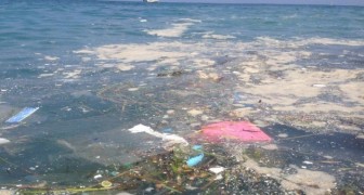 Anche l'Italia ha la sua isola di plastica: un accumulo di spazzatura nel bel mezzo del Tirreno