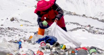 Le plus haut sommet du monde est un tas de détritus : l'Everest détruit par la présence assidue de l'homme