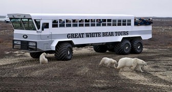 In diesem mobilen Hotel können Sie in der Tundra schlafen, umgeben von Eisbären