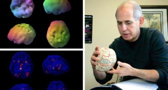 Ein Neurowissenschaftler hat einen Weg gefunden, sein Gehirn jung zu halten, und jetzt können wir ihn alle imitieren