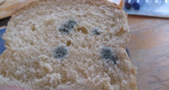 Eating the good part of moldy bread is not a healthy habit, according to experts