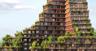 Sorgerà a Copenaghen il primo grattacielo eco-sostenibile: ecco il progetto e tutti i suoi vantaggi