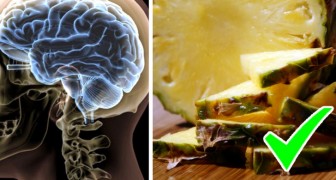 The 6 foods that increase serotonin which is your brain's favorite food!