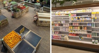 Voici à quoi ressembleraient les supermarchés sans les abeilles : des centaines de produits manquants et des rayons vides