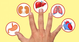  Nach japanischer Tradition entspricht jeder Finger einem Organ: Das passiert, wenn man ihn drückt