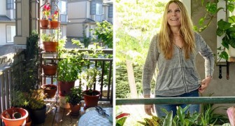 Resultado de imagem para Mulheres que vivem rodeadas por plantas vivem mais, é o que afirma a ciência"