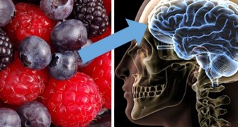 Se vuoi avere un cervello sempre giovane e attivo, ecco 8 alimenti che non dovresti trascurare