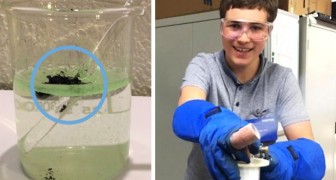 Ein 17-jähriger Schüler entdeckte, wie man Mikrokunststoffe mit einem Magneten aus dem Wasser entfernt