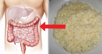 Zwei Wochen lang Reisgerichte: Das ist das Geheimnis, um unseren Körper zu reinigen
