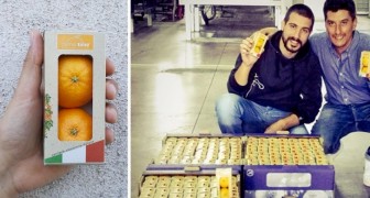 Calabria, clementine locali nei distributori al posto degli snack industriali: l'iniziativa salutare tutta italiana
