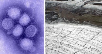 Het smelten van permafrost activeert virussen en bacteriën die voor altijd uitgeroeid leken te zijn