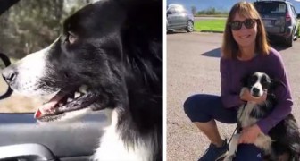 Den här kvinnan säger upp sig för att leta efter sin hund och hittar henne igen efter 57 dagar