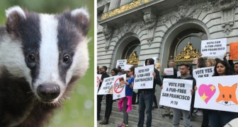 La California è il primo Stato americano a vietare la vendita di prodotti ricavati da pellicce animali